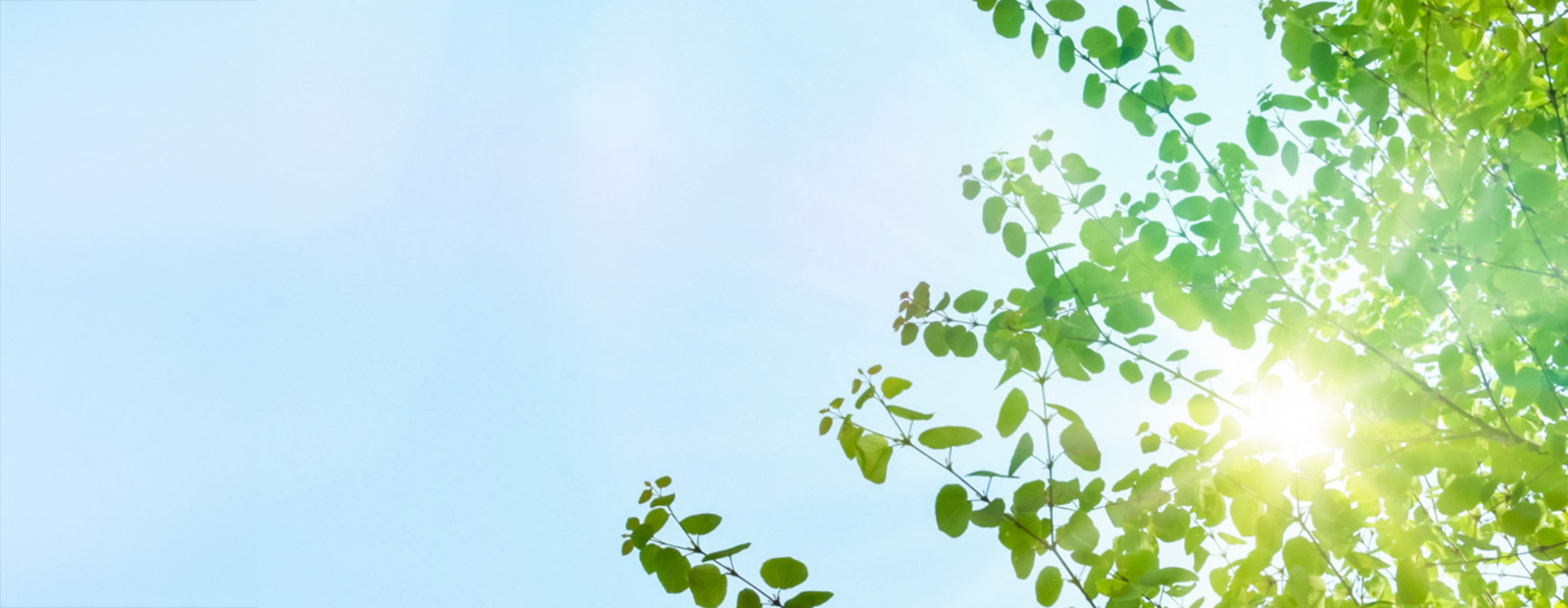 キービジュアルイメージ01